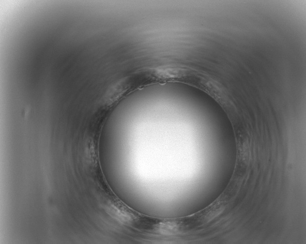 X0000067490418200604101300