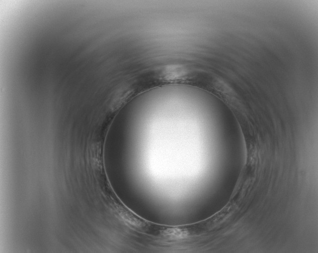 X0000067490421200604101300