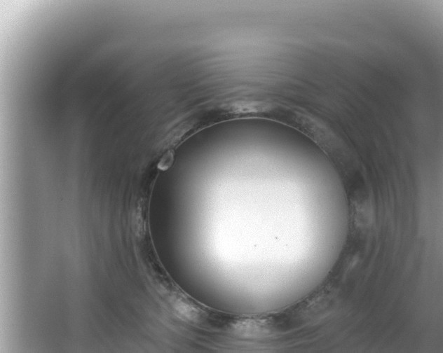 X0000067490422200604101300