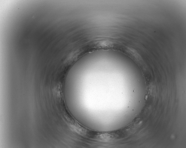 X0000067490423200604101300