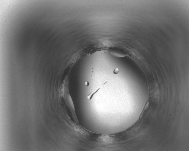 X0000067490425200604101300