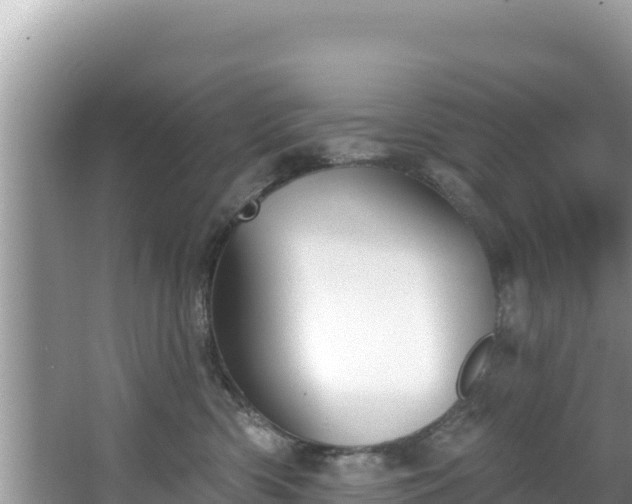 X0000067490426200604101300