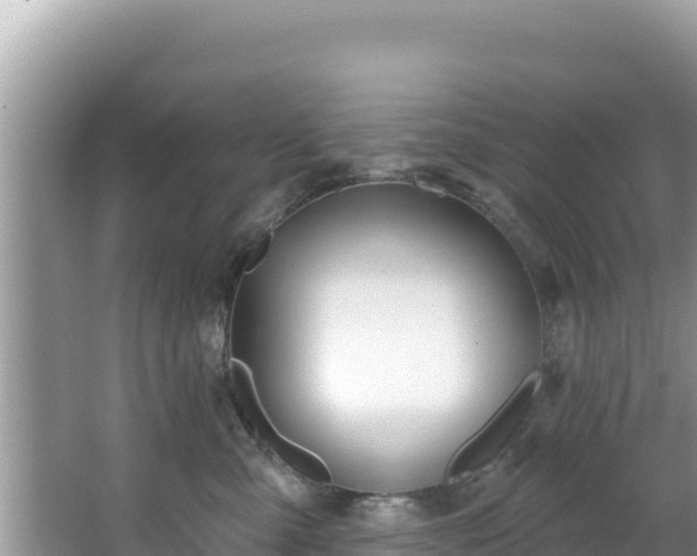 X0000067490427200604101300