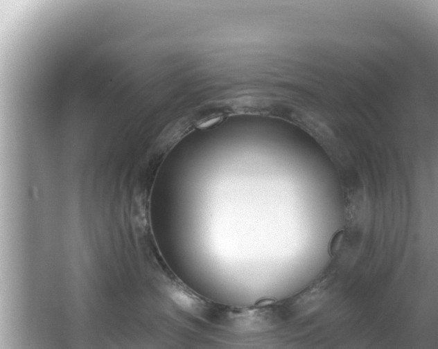 X0000067490430200604101300