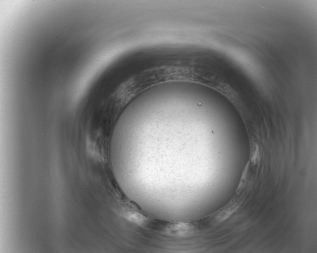 X0000067490431200604101300