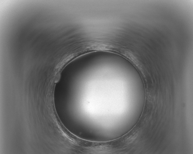 X0000067490433200604101259