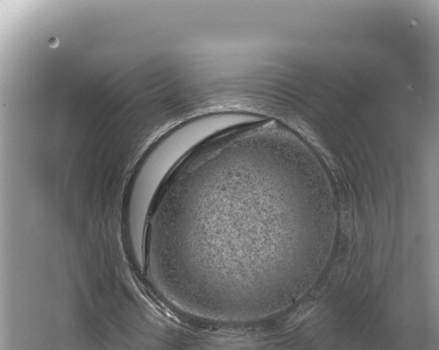 X0000067490434200604101259