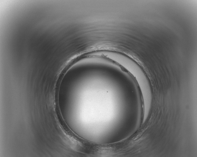 X0000067490438200604101259