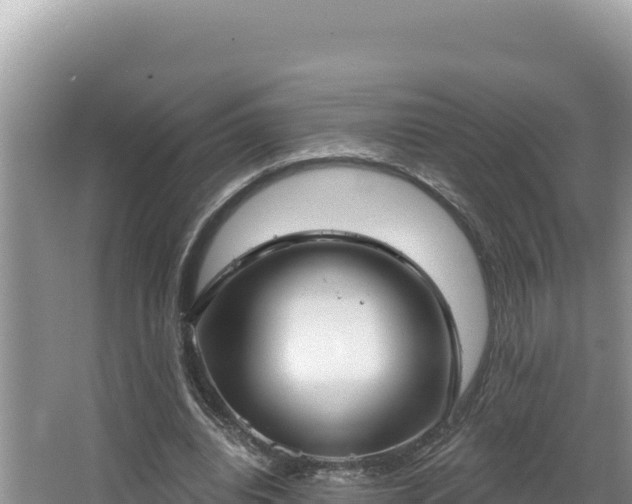 X0000067490440200604101259