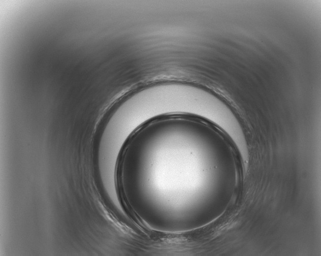 X0000067490446200604101259