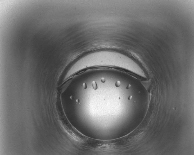 X0000067490447200604101259