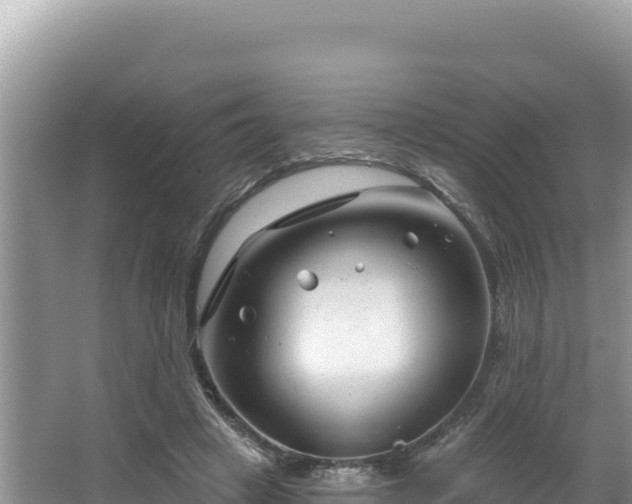 X0000067490449200604101259