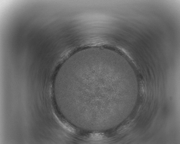 X0000067490451200604101259