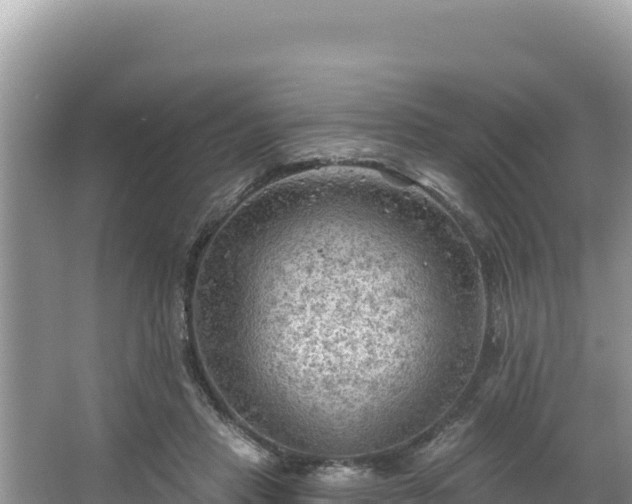 X0000067490453200604101259