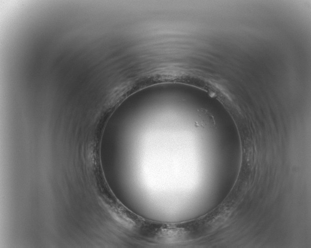 X0000067490455200604101259