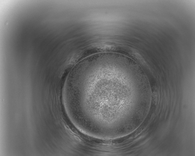 X0000067490458200604101259