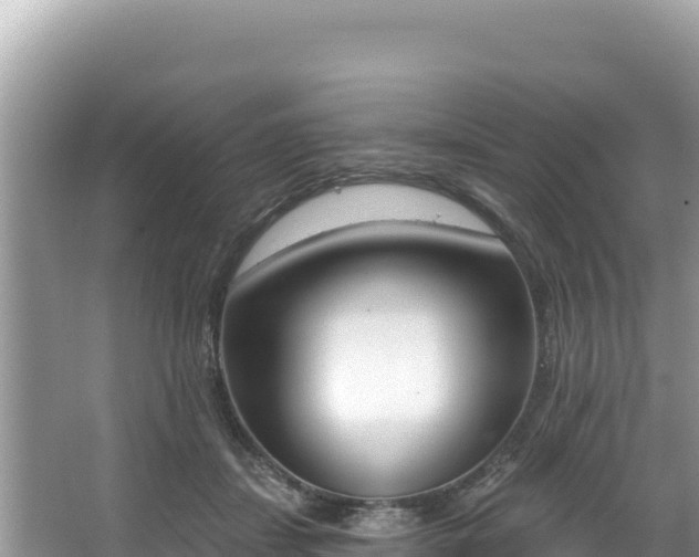 X0000067490459200604101259