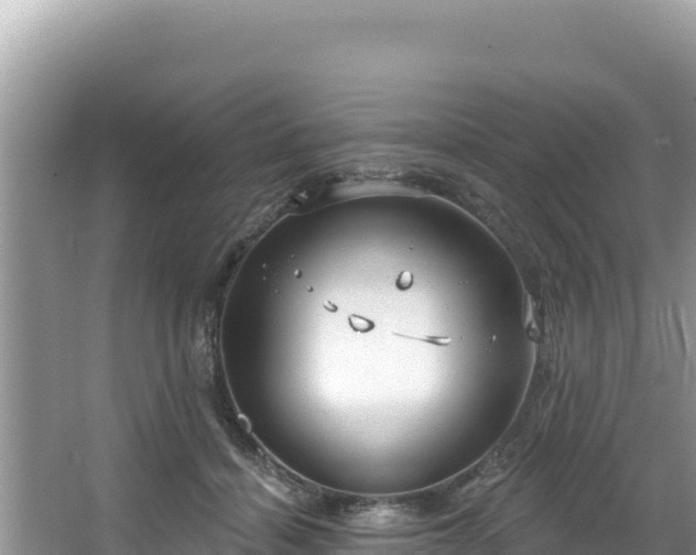 X0000067490460200604101259