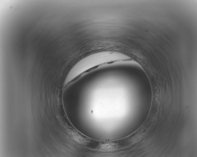 X0000067490461200604101259