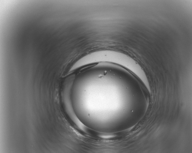 X0000067490462200604101259