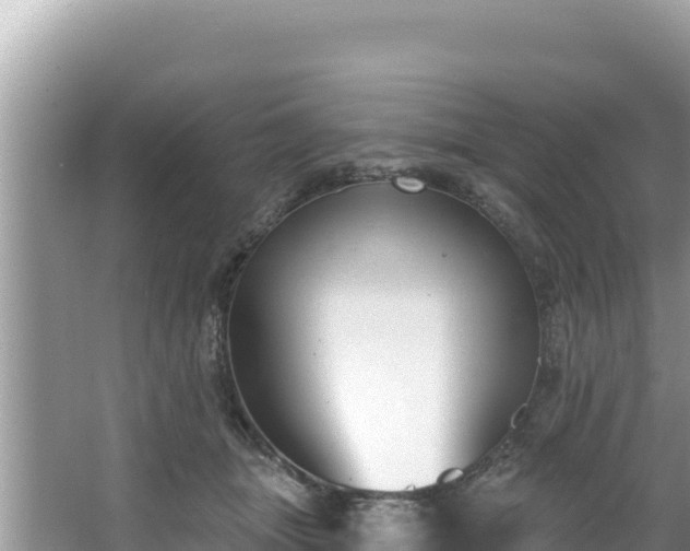 X0000067490463200604101300