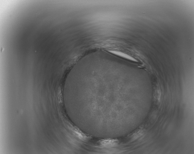 X0000067490465200604101300