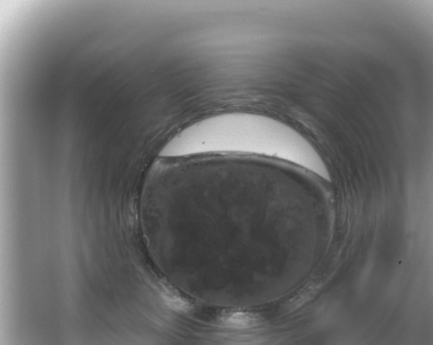 X0000067490467200604101300