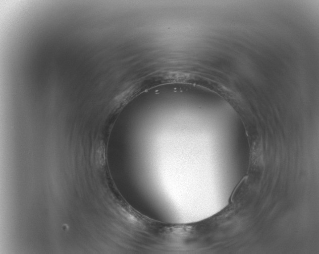 X0000067490474200604101300