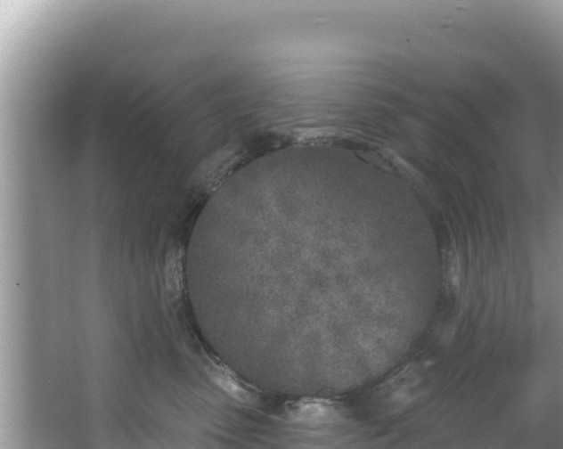 X0000067490475200604101300