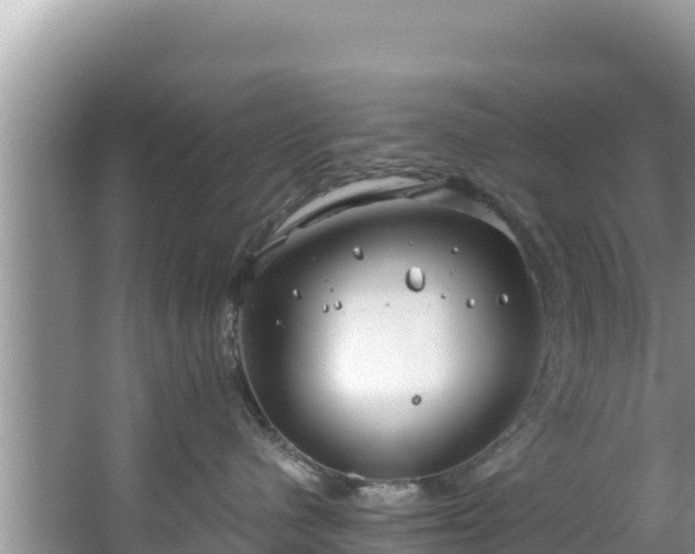 X0000067490480200604101300