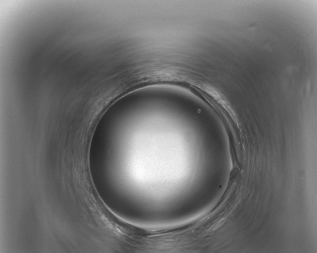 X0000067490481200604101259