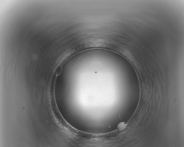 X0000067490482200604101259