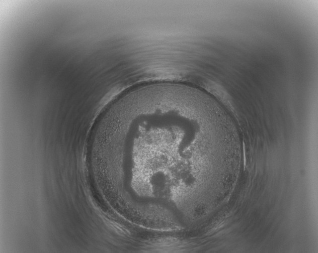 X0000067490483200604101259