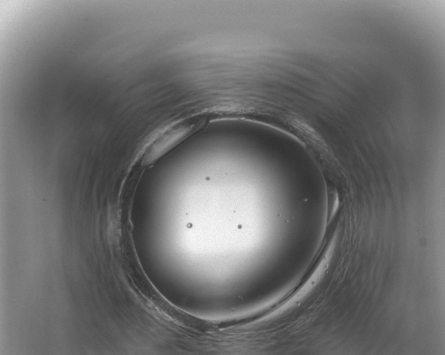 X0000067490484200604101259