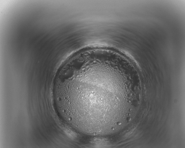 X0000067490487200604101259