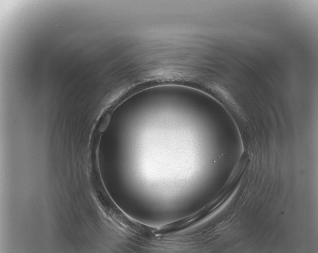 X0000067490488200604101259