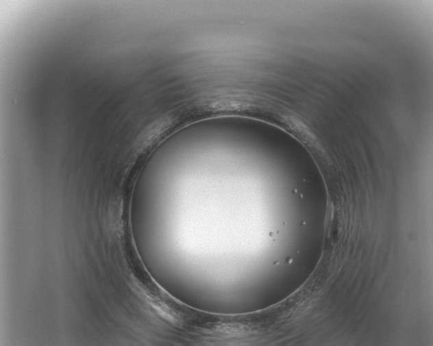 X0000067490490200604101259