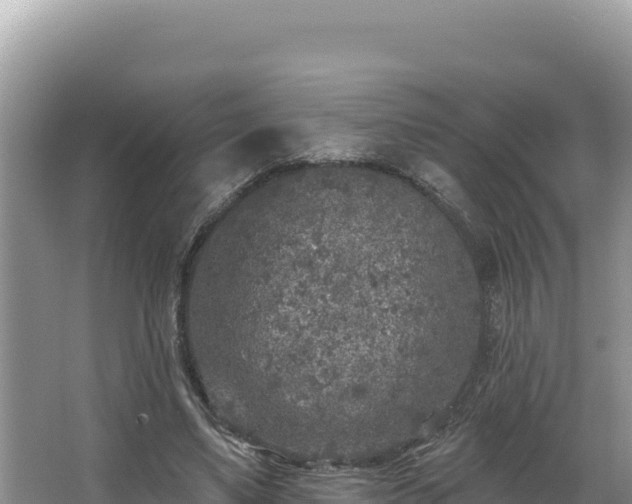 X0000067490491200604101259