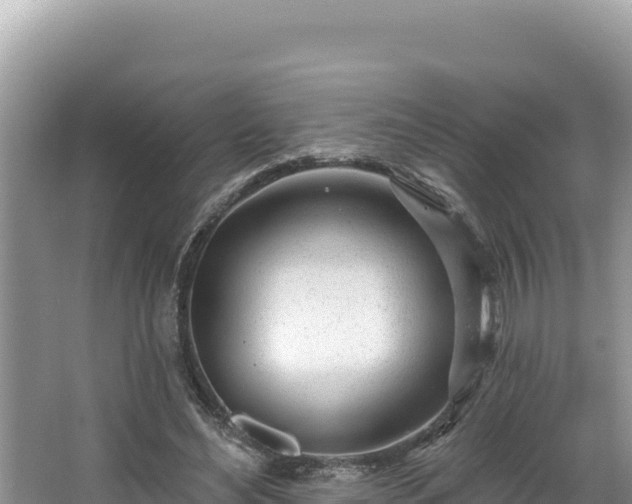 X0000067490492200604101259