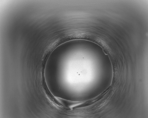 X0000067490493200604101259