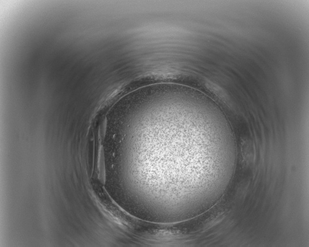 X0000067490494200604101259