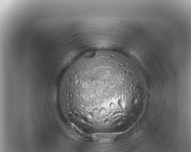 X0000067490495200604101259