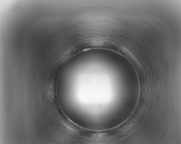 X0000067490497200604101259