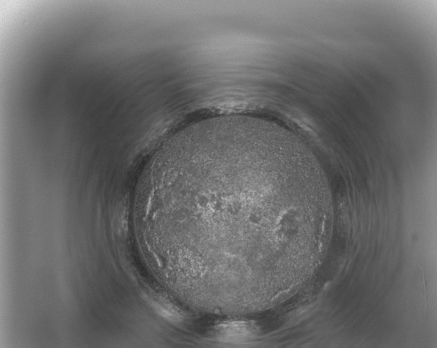 X0000067490499200604101259