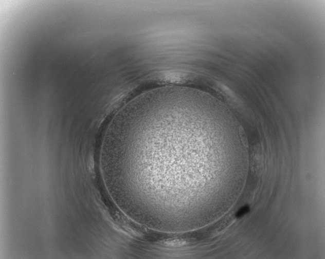 X0000067490500200604101259