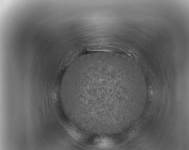 X0000067490503200604101259