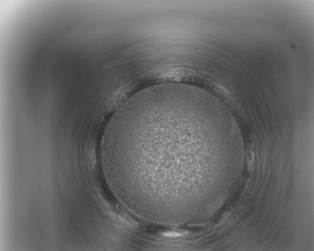 X0000067490504200604101259