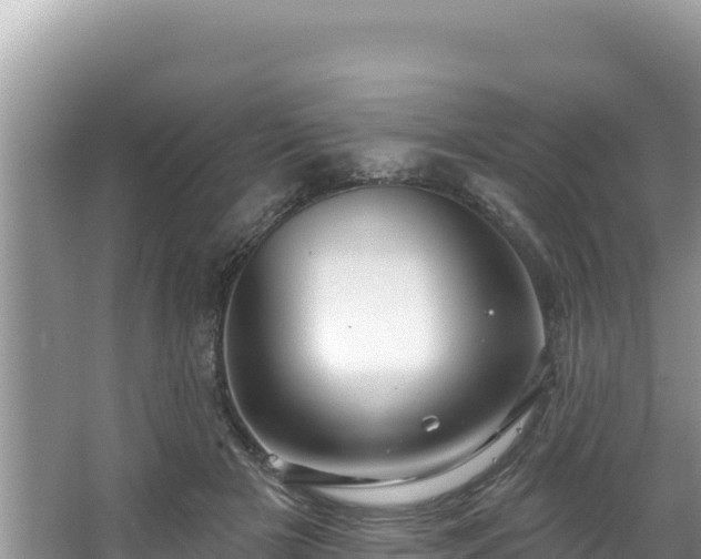 X0000067490505200604101259