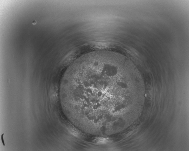 X0000067490507200604101259