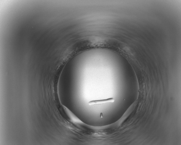 X0000067490508200604101259